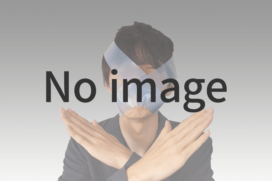 画像なし