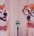 チャットGTPに漫才考えてもらってお笑い芸人目指すぞ！ってなんでやねん